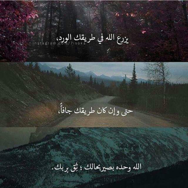 Mhdoea1's tweet photo. https://t.co/aJnUOvqU7Z