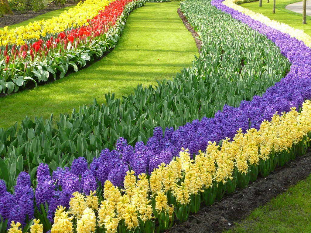 CoulantTouring's tweet photo. Zin in een leuke dag of avond weg met @CoulantTouring 
- Keukenhof
- Toppers in Concert
- Zwarte Cross
Meer info: https://t.co/v3yPMqoAVo https://t.co/H1LvEoOKmD