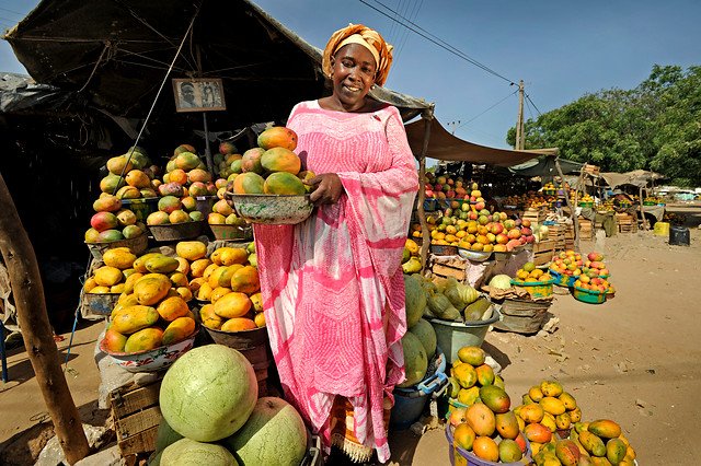 Today we launch #STARS Senegal. STARS supports rural smallholder #farmers, mostly women, to access #financialservices @MasterCardFdn #Food