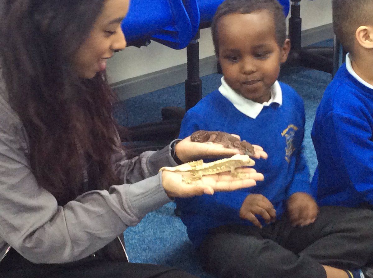 AdderleySchool's tweet photo. Big thank you to Laura for visiting year 1 and showing us all her amazing animals! @AnimalManBham @BirminghamEdu #wowlessons 🦉🕷🦎🕸🐉🐍 https://t.co/qHdyxUWWxv
