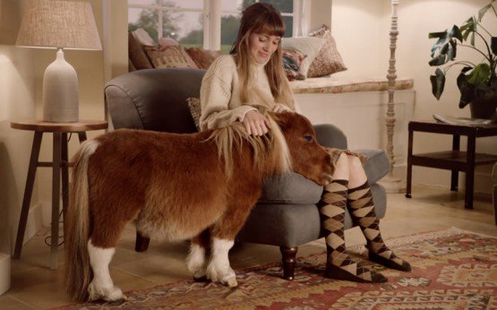 eCHEVALcom's tweet image. Découvrez avec nous Acer, le #cheval de la pub Amazon qui a fait craquer des millions de personnes ! echeval.com/news/148-poney…