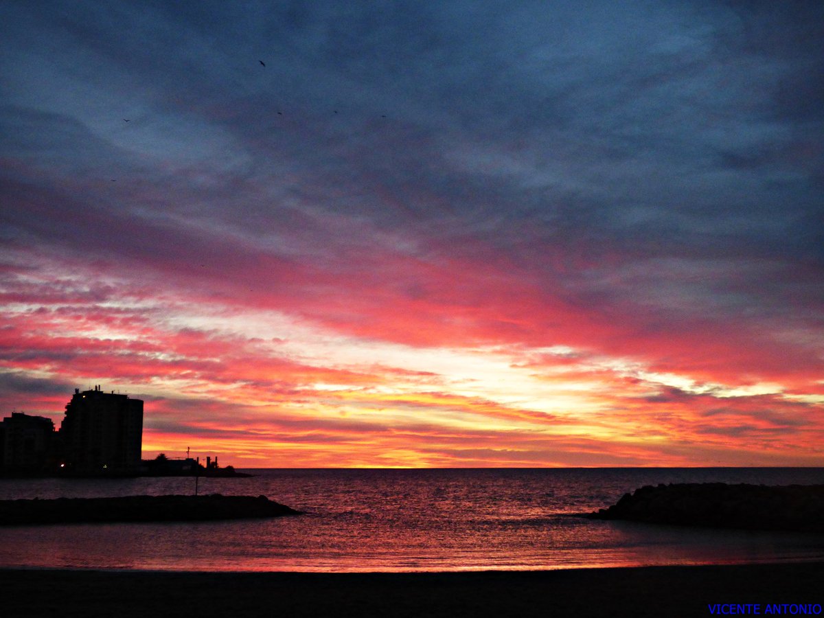 ProyectoMastral's tweet photo. Superamos ya los 20ºC en #Torrevieja después de comenzar el día con 16ºC y algunas nubes. Fotos: Joaquín, Laury, Ana Isabel y Vicente. https://t.co/XOd70tx3RO