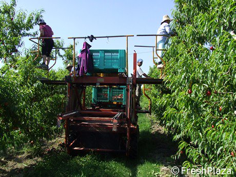 FreshPlaza_it's tweet photo. Anche l'Unione europea si e' accorta che gli agricoltori guadagnano poco
https://t.co/zQ8QlBzpfV https://t.co/4mtYqWG6EI