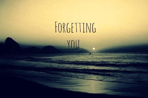 _HPweekly's tweet photo. 🥀 Week 5 : "Forgetting you"
🥀 Time : 07/03 - 21/03
🥀 Hashtag : #HPweekly #HPweek5

(คำอธิบายเพิ่มเติมใต้เมนชั่นค่ะ) https://t.co/5pjjCW5IKN