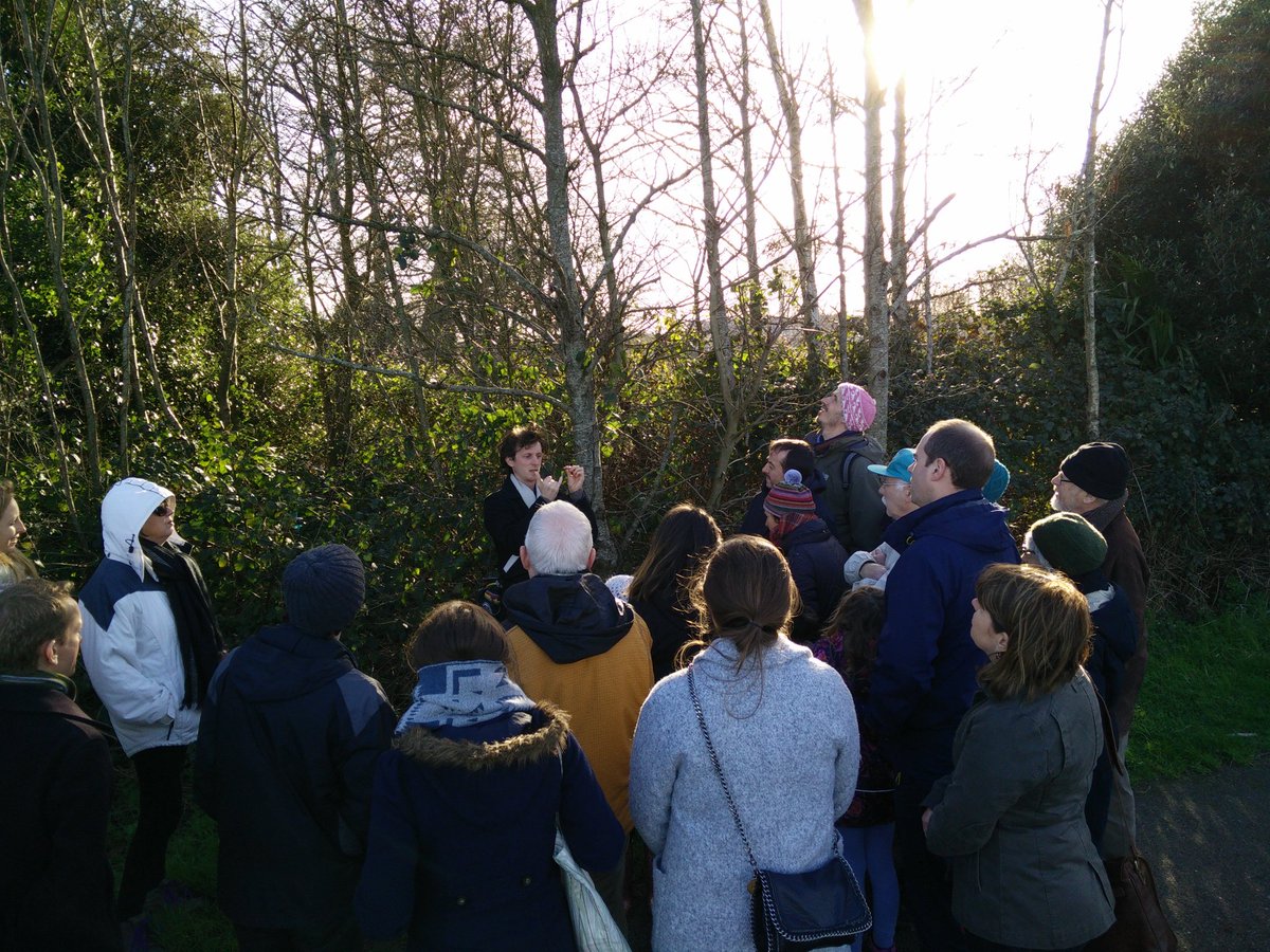 blackrockcastle's tweet photo. Who thought trees could be this interesting! @EngineerIreland @CorkEnvForum #TreeWeek2017 #EngWeek16 https://t.co/M788AA57kR