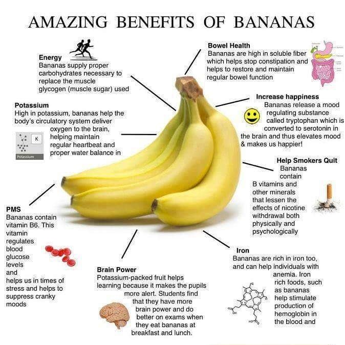 Twinningplus1's tweet photo. We 💛 #bananas #NutritionTipOfTheDay #Healthy #Energy #Iron #Potassium #BowelHealth #BrainPower #PMS #IncreasesHappiness #HelpsSmokersQuit https://t.co/sQmjxqyRX1