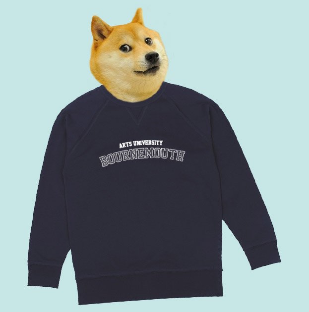 AUBSU's tweet image. Get your paws on these AUB sweatshirts for only £15 at Wednesday's campus market! #manywow