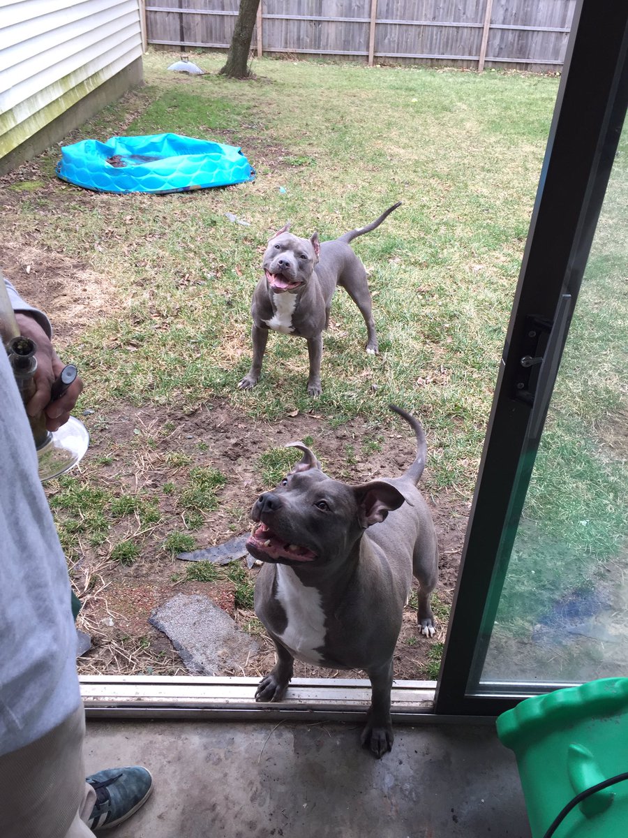 IceColdBully's tweet image. Both of them together