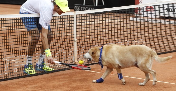 BBC Sport tweet media