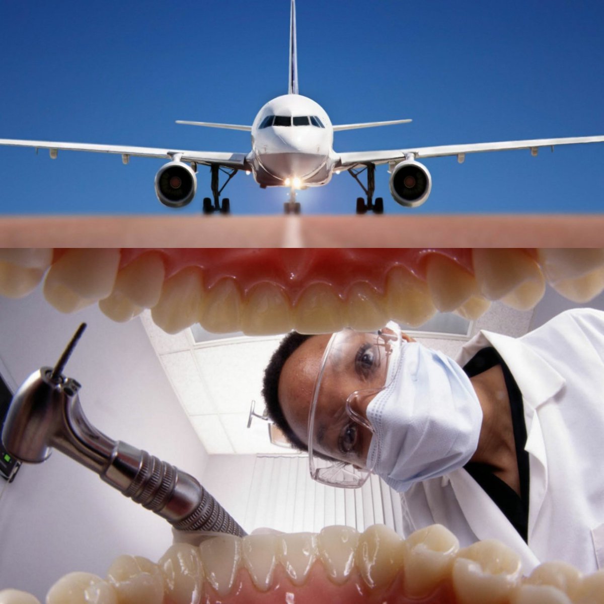 lumework's tweet image. Are Your Teeth Are Helping Scientists Build Better Airplanes? MUST READ! gizmodo.com/how-tooth-enam… #NAtionalOreoCookieDay #truestory