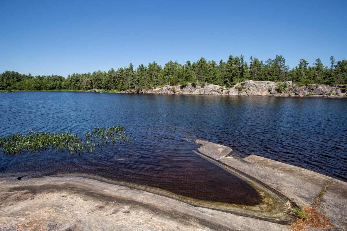 OntarioParksNE's tweet photo. Planning a quick backcountry canoe trip @OntarioParks this summer? Try a night or two @GrundyLkPP https://t.co/eEFrCzH2ck #MondayMotivation https://t.co/pObC9vW4ld