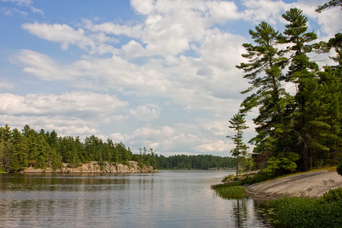 OntarioParksNE's tweet photo. Planning a quick backcountry canoe trip @OntarioParks this summer? Try a night or two @GrundyLkPP https://t.co/eEFrCzH2ck #MondayMotivation https://t.co/pObC9vW4ld