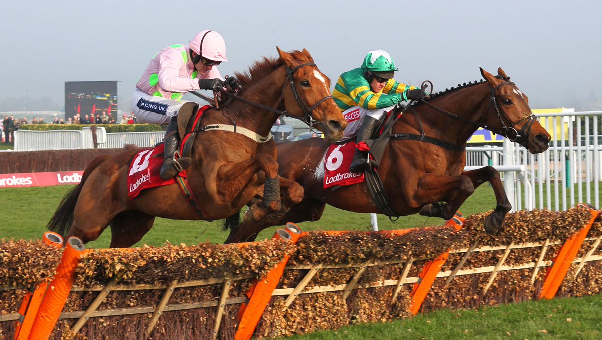 CheltGardenBar's tweet photo. Who's ready for #CheltenhamFestival? Join us this year @CheltGardenBar for post race food and drink #winingformular #racing https://t.co/8phC5IirKJ