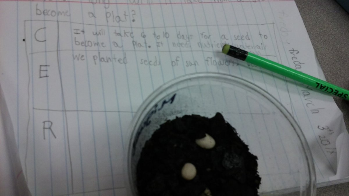 MrTclass1's tweet photo. For living things we planted seeds. Como ejemplo de seres vivos sembramos semillas. https://t.co/qNsJUrWrvz