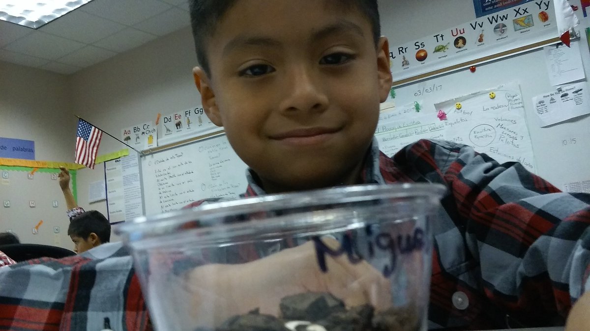 MrTclass1's tweet photo. For living things we planted seeds. Como ejemplo de seres vivos sembramos semillas. https://t.co/qNsJUrWrvz
