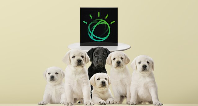 About_IoT's tweet image. #Watson bit.ly/2n5BJIM