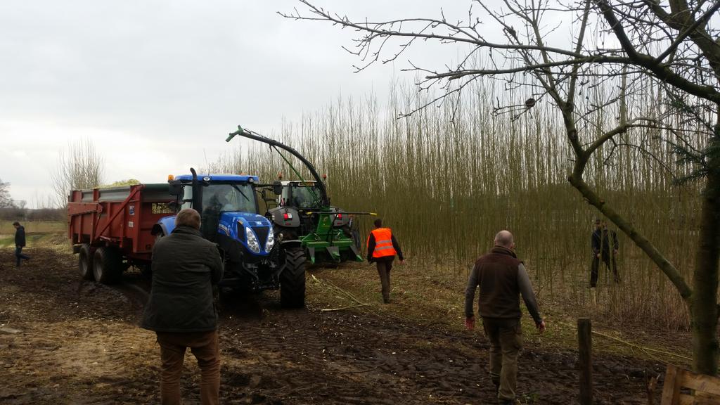 vdenakker's tweet photo. Met studenten @AereshboDronten bij oogstdemonstratie halve ha aangeplante wilg bij Wesepe @Biomassalland 2-3-jr rotatie. #energiebos https://t.co/LdnB5AegBJ
