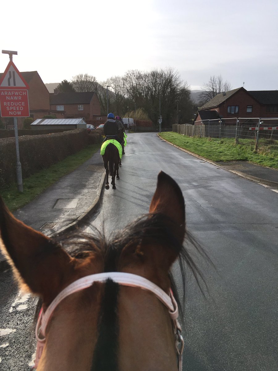 GHirst01's tweet photo. Came across a string of pointers out this morning with Jonty @KatyPriceRacing #feelingfresh 🏇😍 https://t.co/Xik4GEB1G1