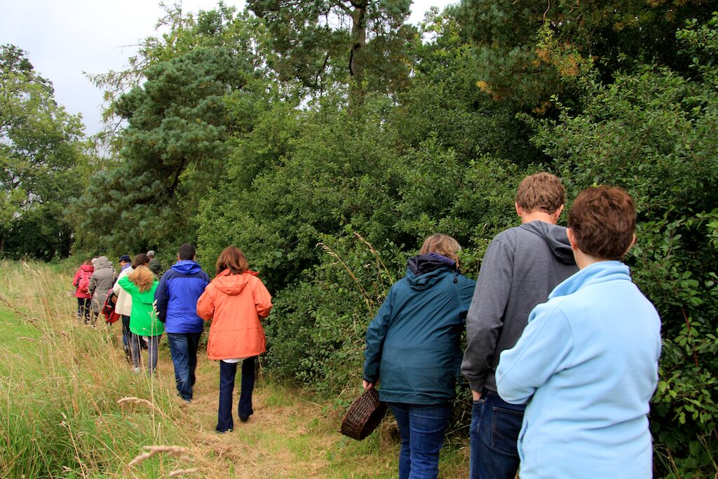 Wells_House's tweet photo. #Foraging day on Sat 11/3 in the grounds of Wells by @whiteecotrails for a day of foraging with educational talks & lunch! Call 0539186737 https://t.co/bPQ5bjDB1A