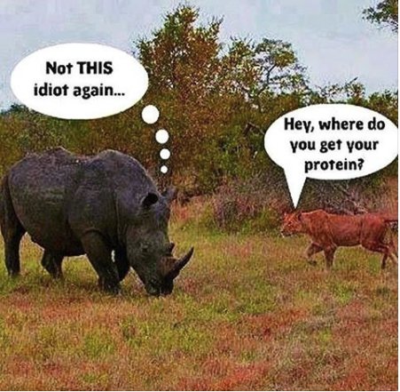 VeganHumor_'s tweet photo. I guess it is actually hard being vegan #VeganProblems https://t.co/LdlsqjzP1H