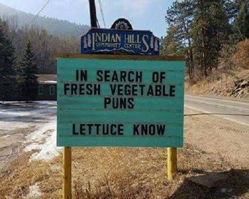 safelyfiled's tweet photo. #MondayPun https://t.co/7jspOz9SAW