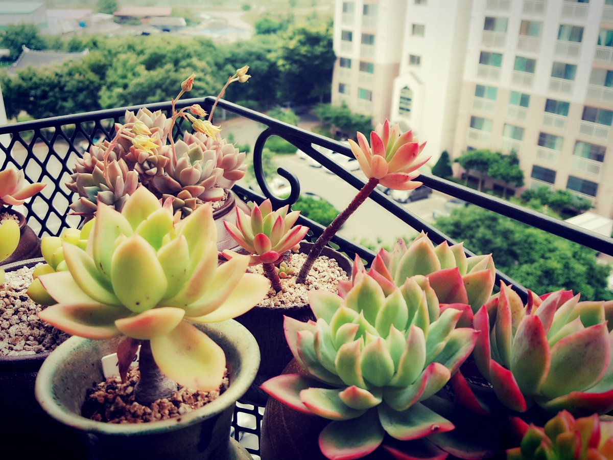 돌아오지 않기에

계절은 아름답게 돌아오고, 
밝고 즐거운 날들은 
조금 슬프게 지나갑니다.

"호텔 선인장" 중에서