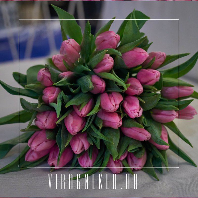 Viragnekedhu's tweet photo. SZERDÁN NŐNAP! :) 🌷🌺🥀
https://t.co/Ywtz61ep9f 
#nőnap #virágküldés #csokor #viragneked #smuz_viragneked https://t.co/jiX2fR3YhG