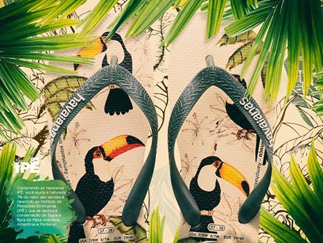rede_santalucia's tweet photo. Havaianas no pé é conforto e estilo garantido. Passe Santa Lúcia e garanta já a sua!Se preferir peça pelo nosso site:https://t.co/hXc1q1kMcG https://t.co/d8hH6yZClv