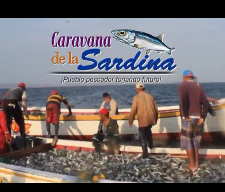VillegasPoljak's tweet photo. VIDEO • Conoce la Caravana de la Sardina 2017 y CLAP Pesquero https://t.co/EJe7B49jYH #ChávezNosGuiaEnLaLucha https://t.co/4hA7RTzE8d