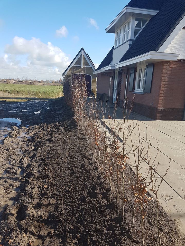 Op de Tweede Weverskade, in de straat Blikveld, zijn de eerste erfafscheidingen geplaatst. Kom maar met de lente #voorjaar #
wilgenrijk