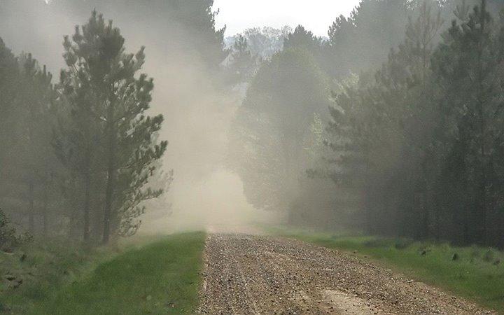 Year of Walking tweet media