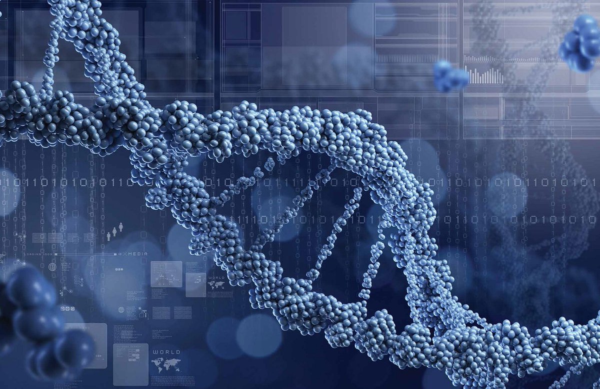 Read about the #OMIM knowledgebase, providing a map to the complex world of human #genetics: scientia.global/ada-hamosh-md-… <a href="/OmimOrg/">omim.org</a> <a href="/genome_gov/">National Human Genome Research Institute</a>