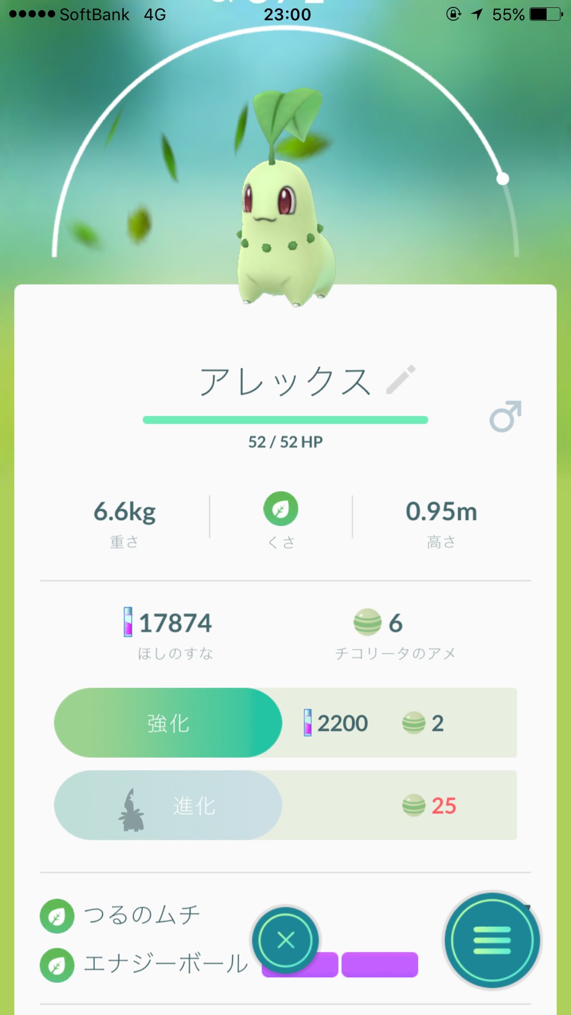 توییتر ンダホ Fischer S در توییتر 久々にポケモンgo開いたら チコリータとアリアドス 捕まえた O O T Co Zmuiwfkoyr