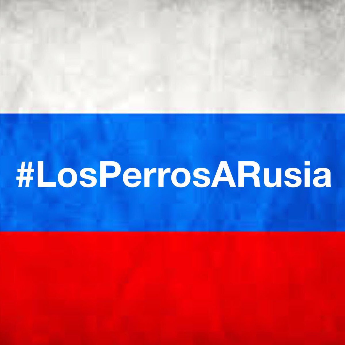 mau_roman's tweet photo. #LosPerrosARusia https://t.co/ozGUjlZIMU