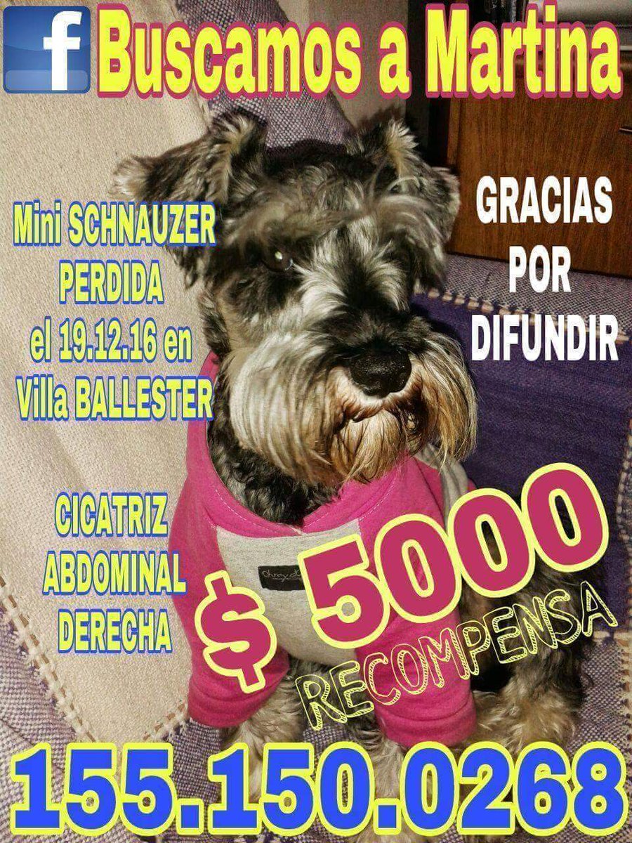 MVEROREYNOSO's tweet photo. @BombitaDarin nos ayudas con un RT ? #buscamosamartina sigue sin aparecer necesitamos más Difusión gracias por tu solidaridad 👇1551500268 👇 https://t.co/pu4mTPxyWw
