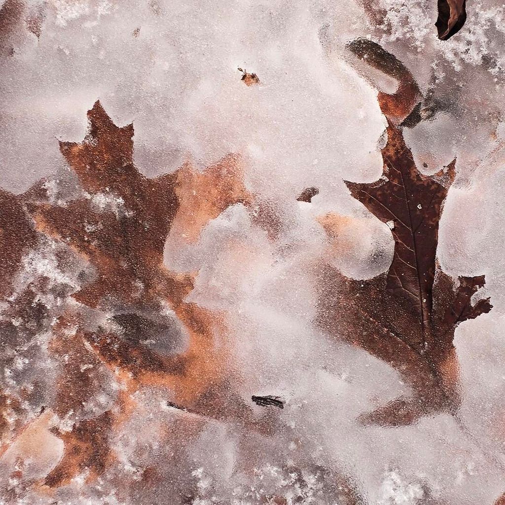 DANCOPEPHOTO's tweet photo. Anyone know what naturally causes clear ice and what causes frosted ice?⠀
.⠀
.⠀
.⠀
#dcfrozenseries #fuji #newmilfor… https://t.co/G8OVkJMAIx