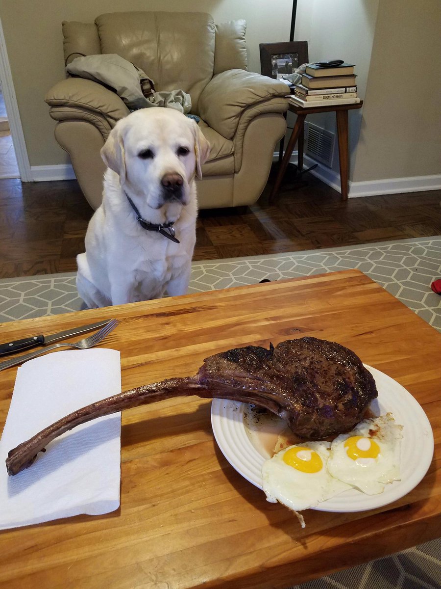 CaptChrishea's tweet photo. Wish someone would look at me like this dog is eyeing that steak https://t.co/PUXSL30j8n