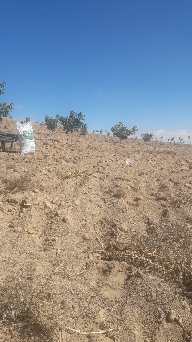 eyupsimsek (@eyupsimsek5) on Twitter photo 