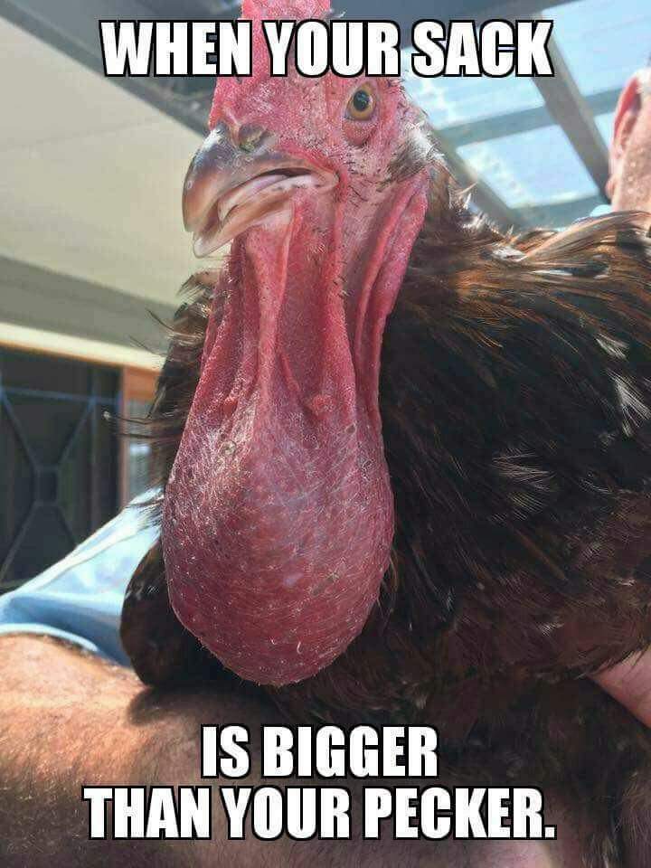 AkumuRaid's tweet photo. @woodyandwilcox saw this and thought of you guys 😂😂😂 https://t.co/YUvrHs5Lu5