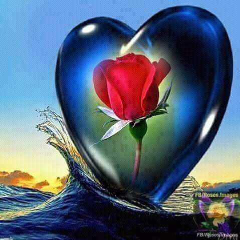 qweasty3's tweet photo. مساء الخير ممكن اتعرف علا تبادل زوجته https://t.co/cO139ydXMP