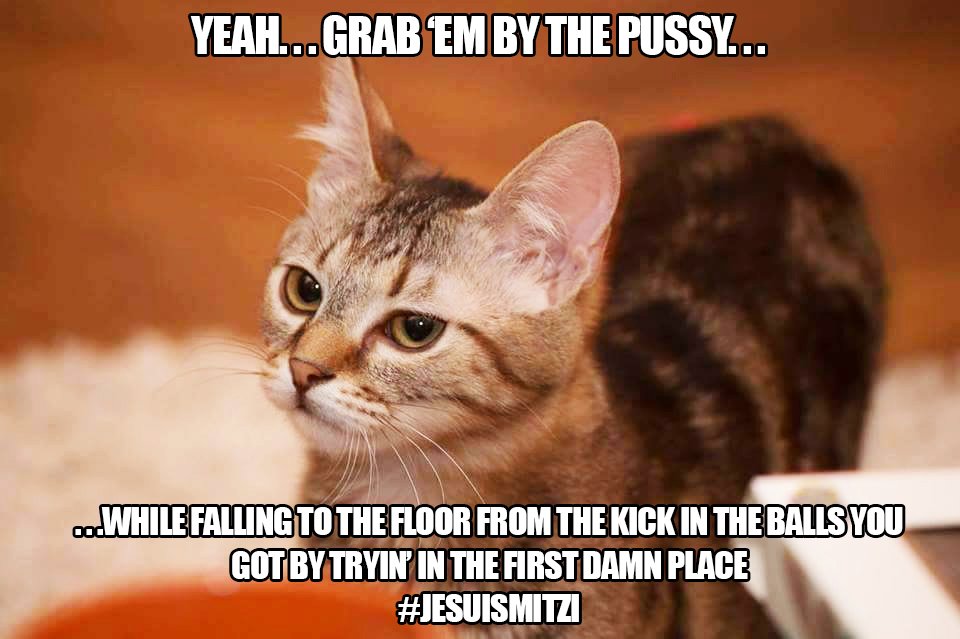 MitziMcSaurus's tweet photo. Word! #jesuimitzi #mitzisue #CatsOfTwitter https://t.co/RXuFXYyEFz