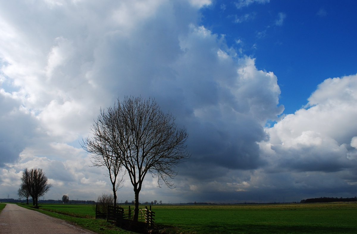 padt005's tweet image. #Goedemorgen Geacht Weerteam, prachtige buienluchten in de polder, opnames gemaakt in de omgeving van Ridderkerk 6 Mrt