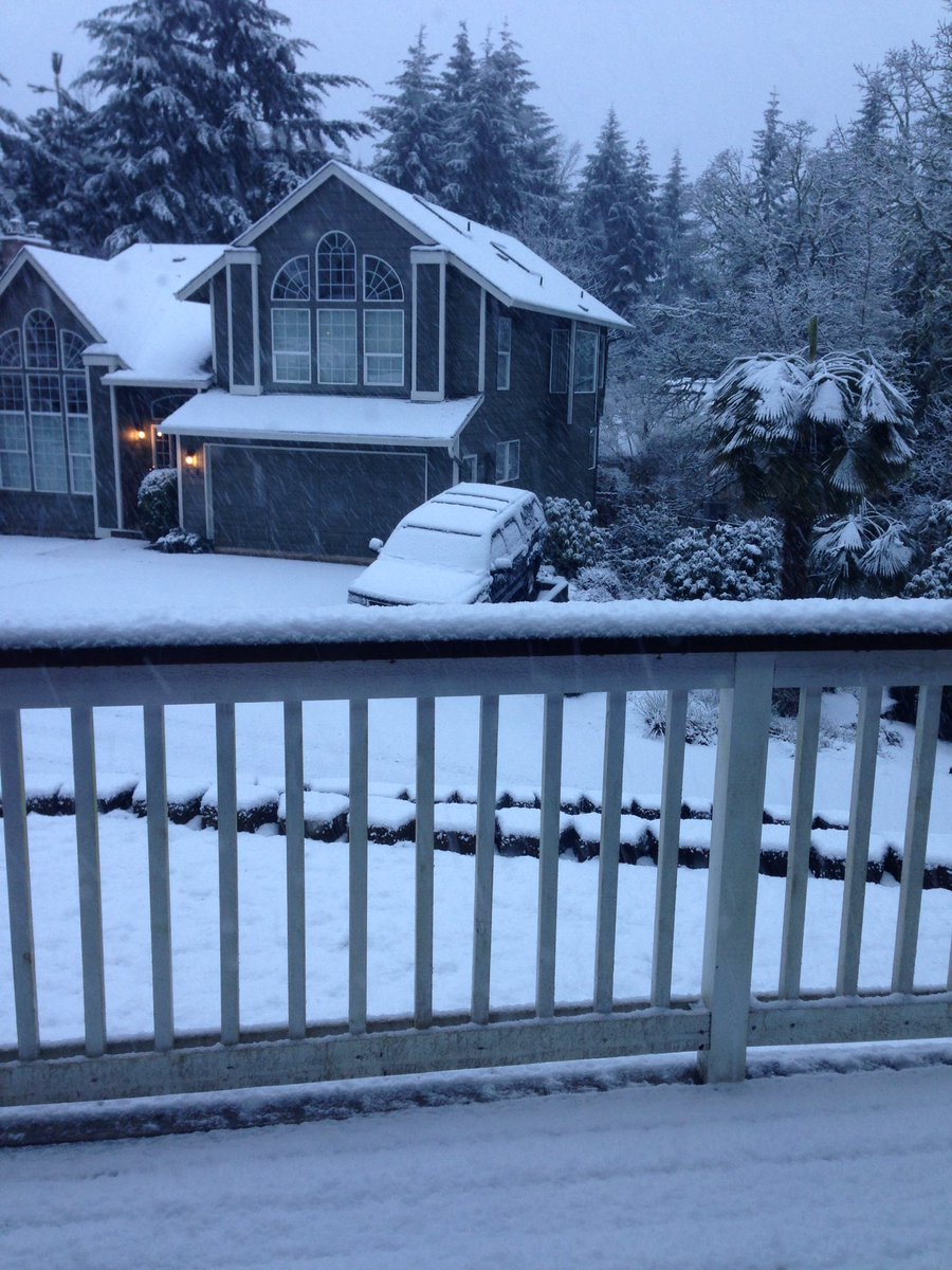 Michelle Lesh tweet media