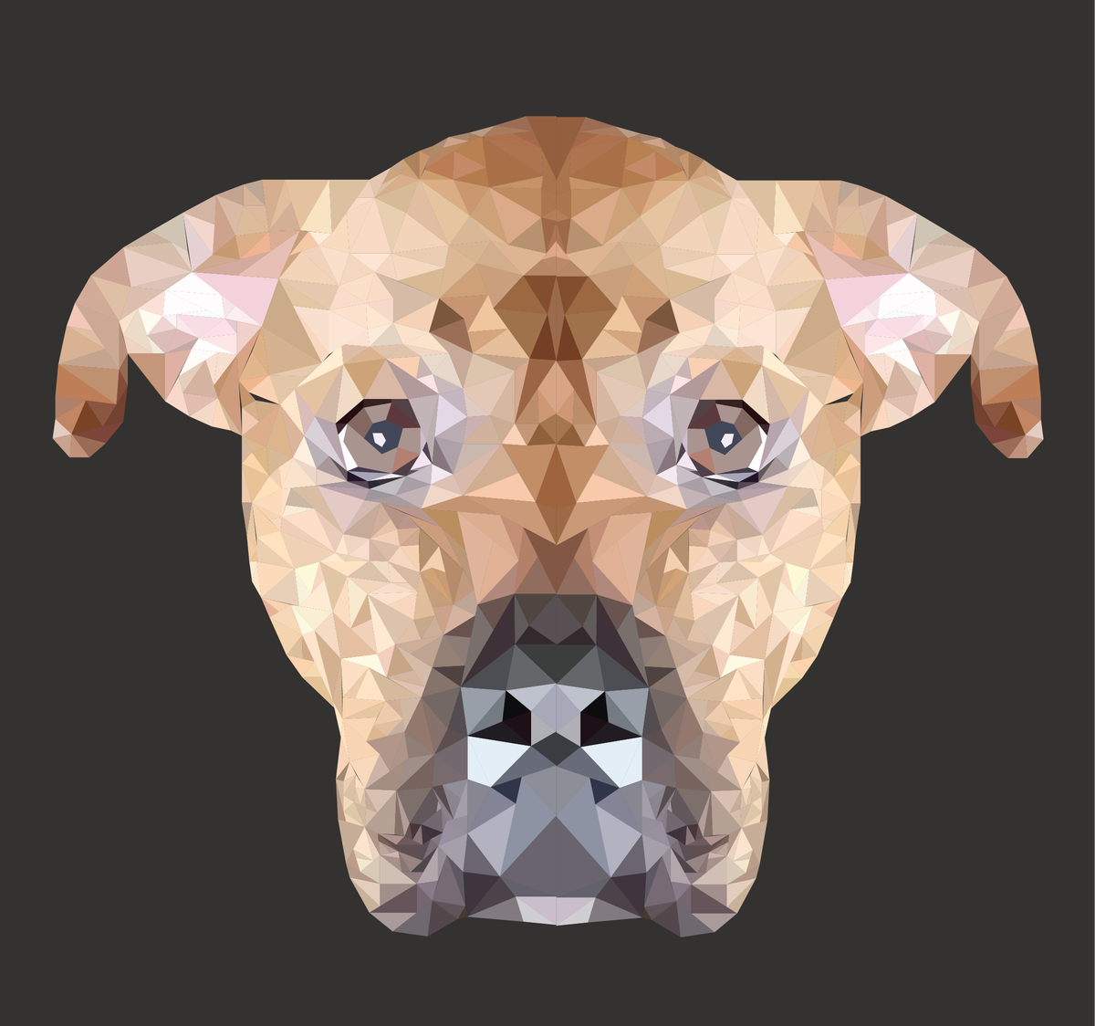 Abbie Riley Design tweet media