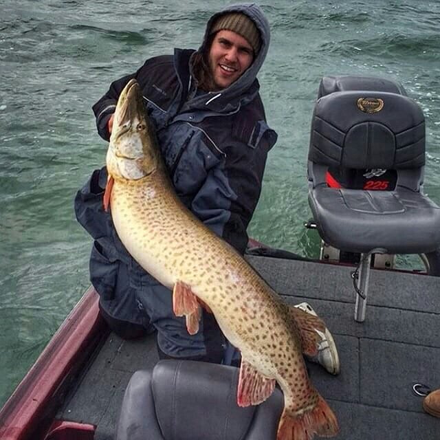 lscauthority's tweet photo. Zac buwalda ( https://t.co/RAOtw6B5DS ) with a 53" St. Clair giant 📷🐟 #lscauthority #fishing #lakelife #muskyfishing https://t.co/mNgZDuiXXh