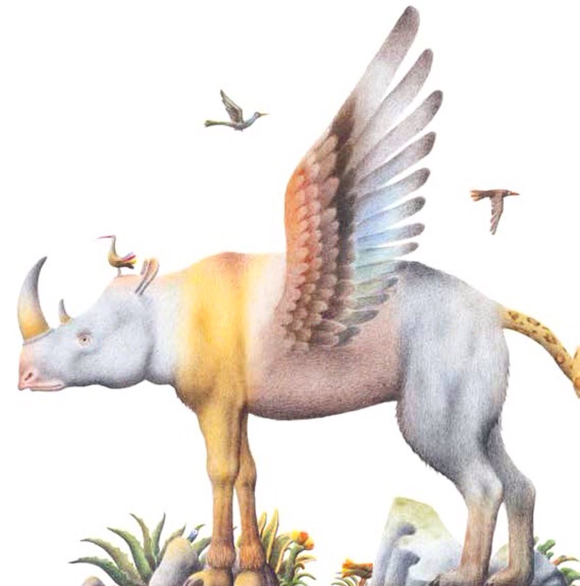 Books & Magic tweet media