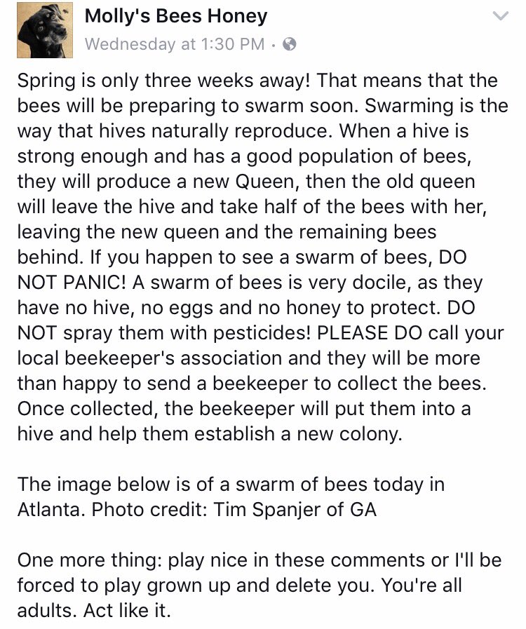 BennyP_16's tweet photo. ATTENTION: SAVE THE BEES https://t.co/DD42zMRjbd