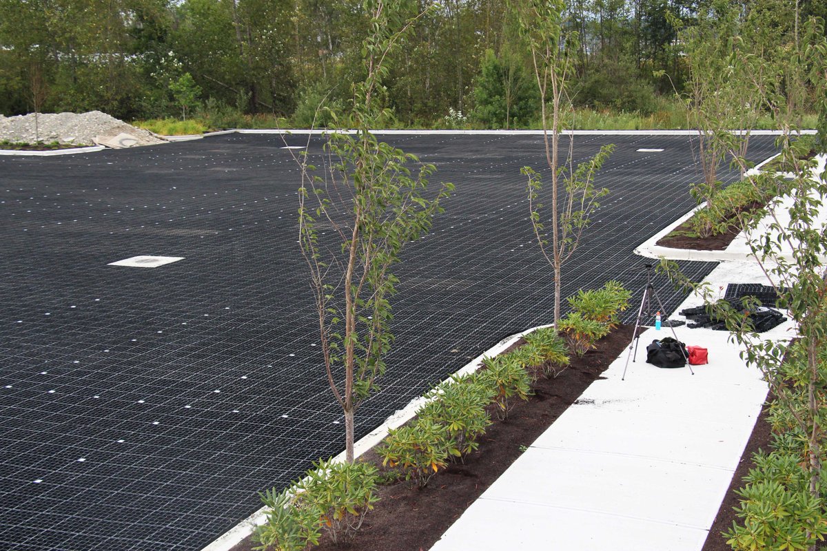 EcorasterNA1's tweet photo. #treeroots #Ecoraster for protection and maximum drainage #landscape #hardscape #EcorasterCanHelp https://t.co/HLu0wSm8CE
