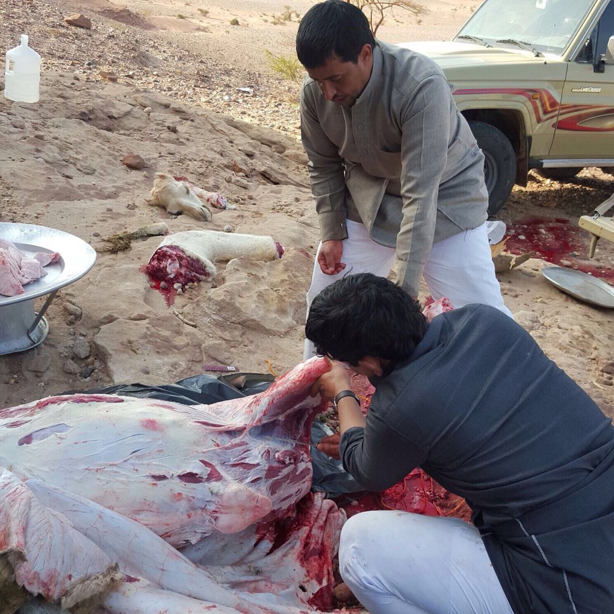 يقول علي بن ابي طالب رضي الله عنه
لاتطلب الخير من بطون جاعت ثم شبعت فإن الشُّح فيها باق
بل اطلب الخير من بطون شبعت ثم جاعت فإن الخيرفيهاباق