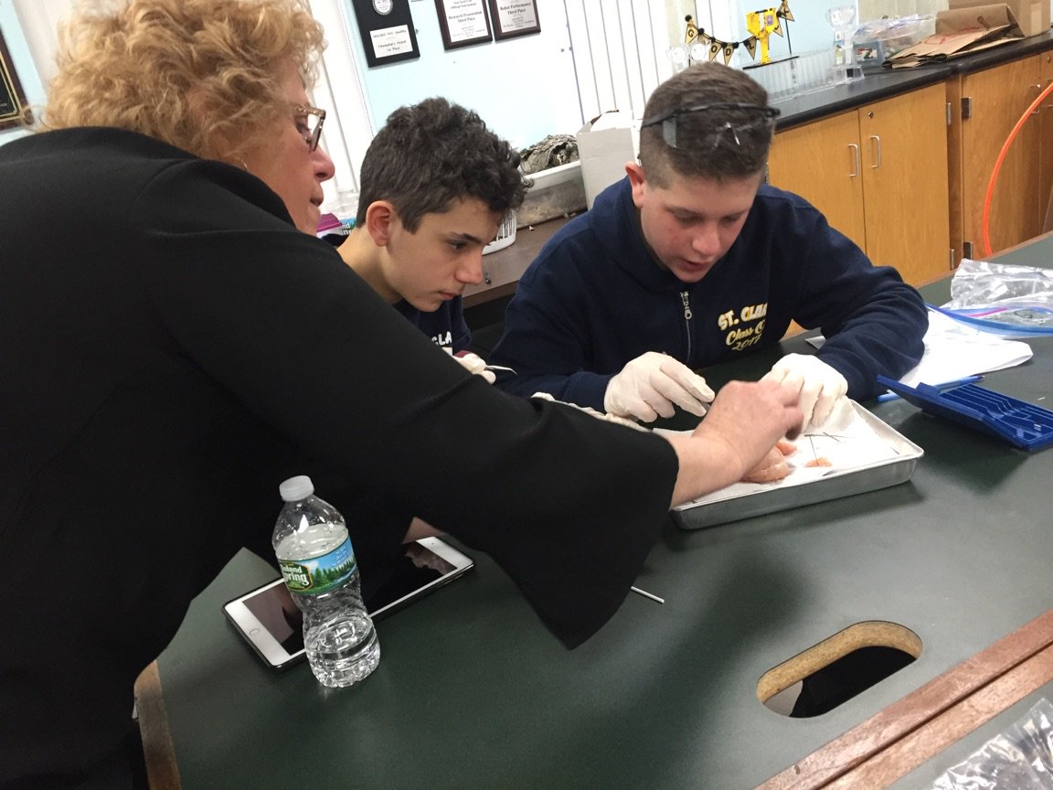 stclaresi's tweet image. #scsscience